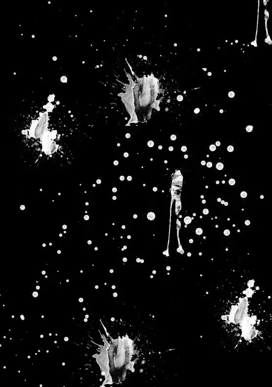 Vampire X Chapter 3 29